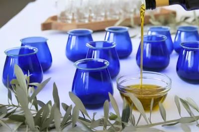 Greek olive oil tasting setup with blue tasting glasses, olive branches and extra virgin olive oil.